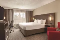 Country Inn & Suites by Radisson, Buffalo, MN - Uima-altaat