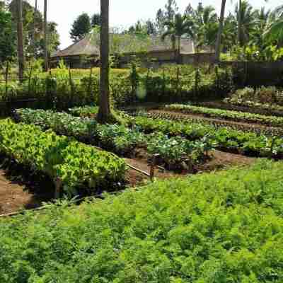 The Farm at San Benito Hotel Exterior