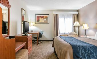 Comfort Inn Downtown - University Area