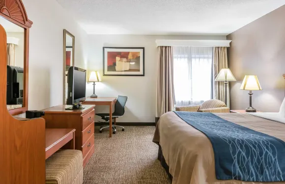 市中心-大學區舒適酒店