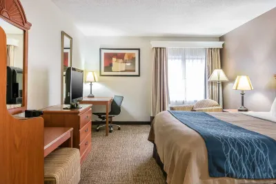 Comfort Inn Downtown - University Area Hoteles en Kalamazoo