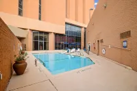 Crowne Plaza HOUSTON MED CTR-GALLERIA AREA by IHG - Rooftop Pools