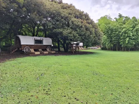 Jeju House Malo Pension (Saryani Hill Stay) Отели рядом с достопримечательностью «Geomunoreum»