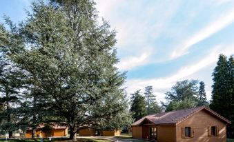 Logis Hôtel les Cèdres Bleus
