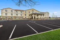 Comfort Inn & Suites - Pet friendly