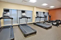 TownePlace Suites Detroit Belleville - Gym