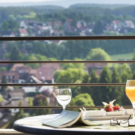 Ahorn Harz Hotel Braunlage