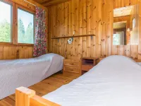 Saniainen 5