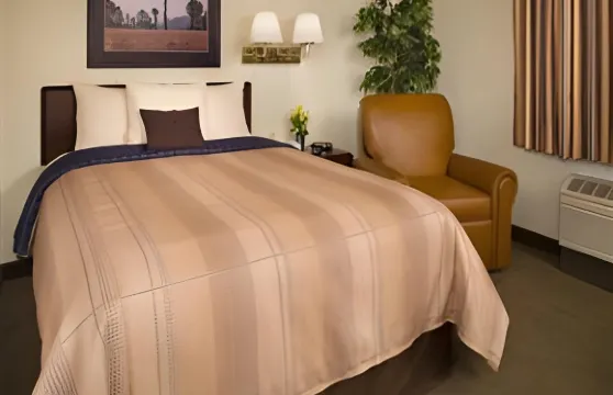 休斯頓-NASA克利爾萊克索尼斯塔簡單套房酒店