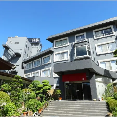Hotel New Umeya
