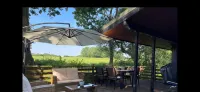 11 Tan-y-Coed Woodland Lodge - Pools