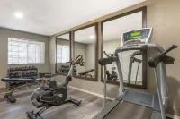 Quality Inn Show Low - Gym