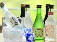 Shikanoyu Hotel - Bares