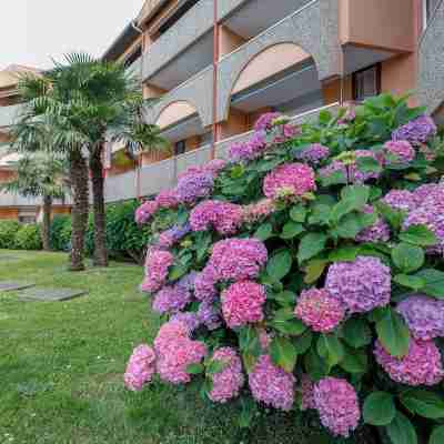 LES TERRASSES DE BORDA Hotel Exterior