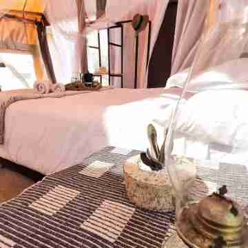 Luxurious Tented Camp Others