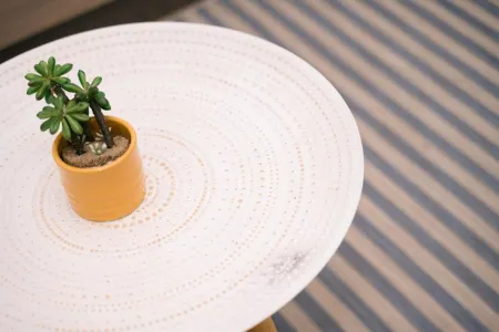 Studio with Balcony and Sea view Отели рядом с достопримечательностью «Ada Bojana»