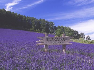 ホテル周辺 芦別温泉スターライトホテルの写真
