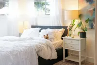 Sundog Cottage - Clean & Cozy - EV - Walk to Food & Beach - Fenced Yard for Dog