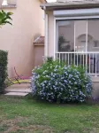 7-person house with direct beach access (100 m walk)