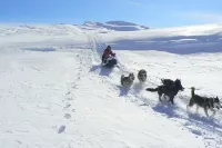 Villa des Familles - Antarès - Peace and Quiet at la Bourboule