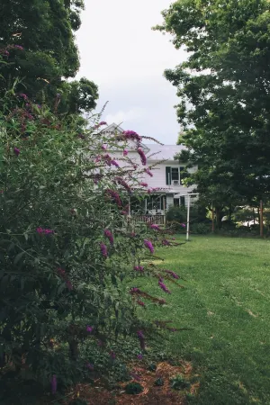 Quaint Home in Lexington