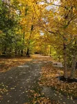 Harbor Springs Cottage In The Woods