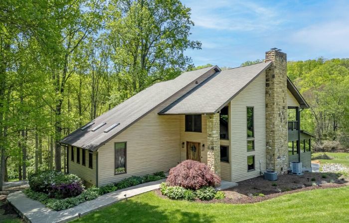 Creekside 3Br w/ Firepit - 5 Min to Sports Park - 10 Min to Downtown Asheville