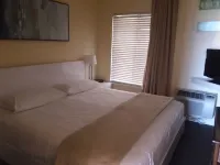 Direct Ocean Front Condo With Heated Pool Located Directly on the Ocean Hotels in Crescent Beach