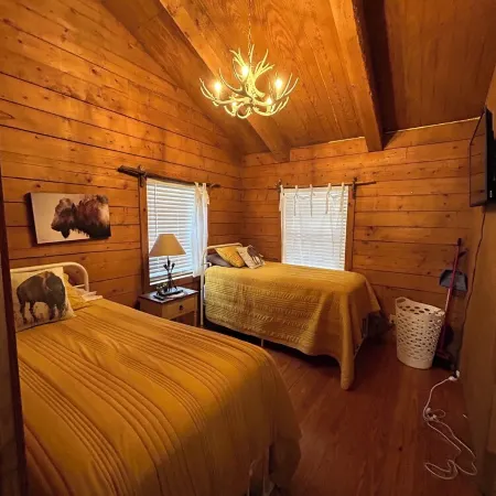 Cozy Log Cabin called Buffalo Horizon. Sleeps 4.  Close to Frio River