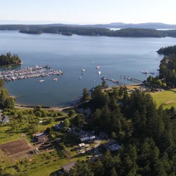 Waterfront cottage with tidelands, creek and waterfall!