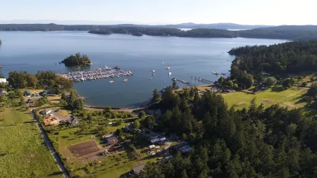 Waterfront cottage with tidelands, creek and waterfall!
