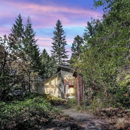 Wonderland ~ Dog friendly forest retreat, near lake, fast Wifi & EV charger