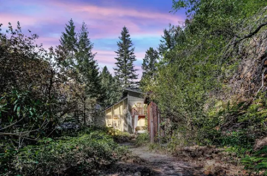 Wonderland ~ Dog friendly forest retreat, near lake, fast Wifi & EV charger