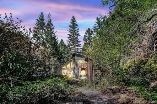 Wonderland ~ Dog friendly forest retreat, near lake, fast Wifi & EV charger