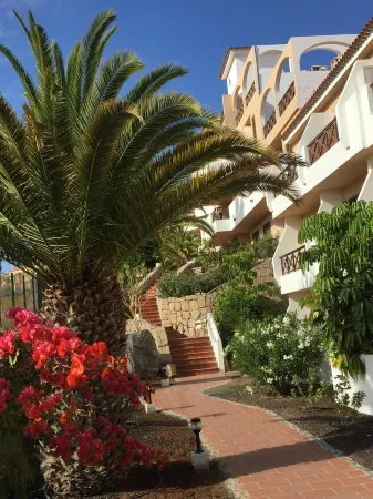 Beautiful apartment. 2 ch., sea view, south-facing terrace, swimming pool, the sea 5 minutes away.