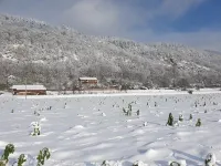Stadtnahe Ferienwohnung für Naturliebhaber mit Blick Über die Donau Hotels in Bach an der Donau
