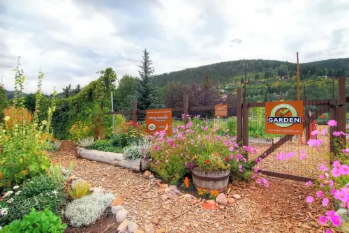 The Golf and Ski Hideaway - 8 minutes from Vail/BC