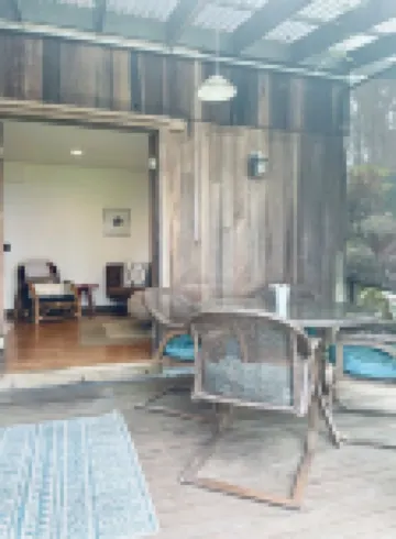 Cozy Cloud Forest Ohana