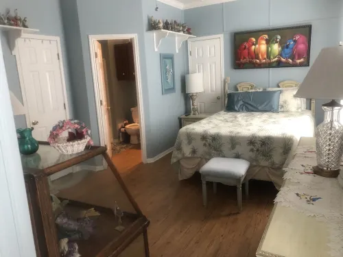 Birders Paradise at the Invincible Inn