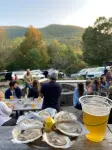 Mountain Paradise: Newly Renovated House with Stunning Views, Hiking, Creek!