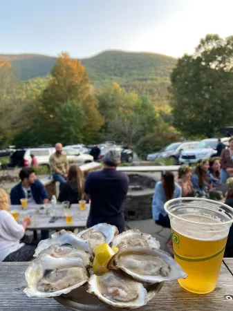 Mountain Paradise: Newly Renovated House with Stunning Views, Hiking, Creek!