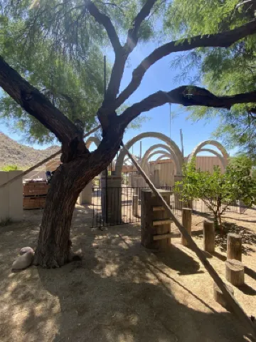 Private 2.5-Acre Retreat with Lush Palms, Pool, Play Train & Tortoises