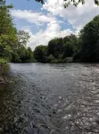 The northern woods