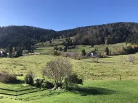 Modern Black Forest loft with mountain views - ski lift, bathing lake & thermal spa