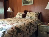 Private,Quiet,cabin,on 27 acres,w/ trails. near the Hoh Rain Forest Nat' l Park.