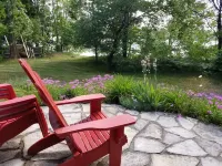 Charming Vintage Cabin on Beautiful Walloon Lake