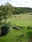 Mansion - Bergerac