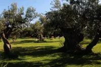 apartment/ flat - Sciacca