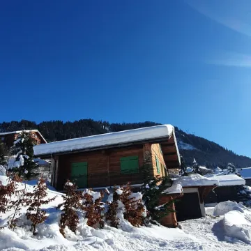 Chalet for 16 people 500m from the village centre - Chatel Reservation