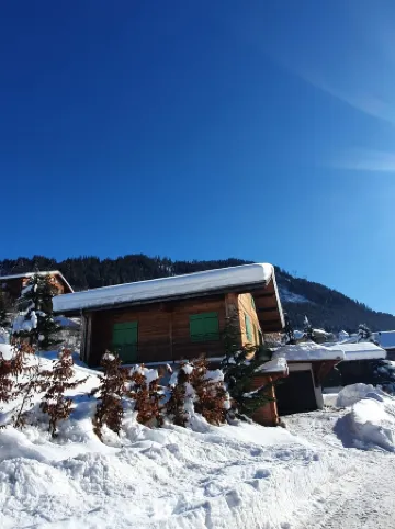 Chalet for 16 people 500m from the village centre - Chatel Reservation